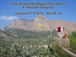 9º P.R.U. - Orihuela