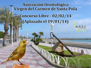 Libre - Santa Pola