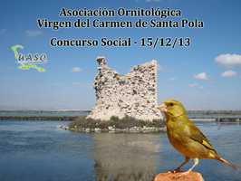 Social - Santa Pola