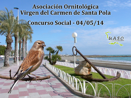 Social - Santa Pola