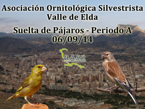 Suelta de Pájaros Periodo A