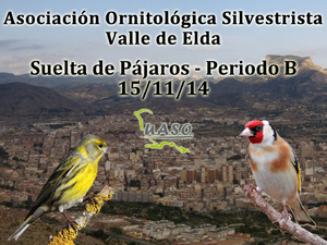 Suelta de Pájaros Periodo B