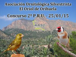 2º P.R.U. Orihuela