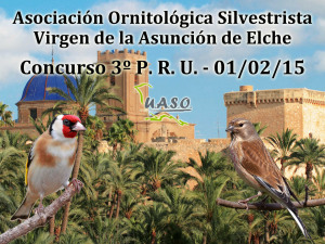 3º P.R.U. Asunción Elche