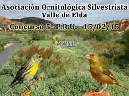 5º P.R.U. Valle de Elda