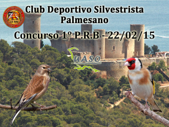 1º P.R.B. - Palmesano