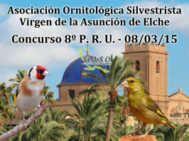 8º P.R.U. Asunción Elche