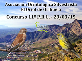 11º P.R.U. Orihuela