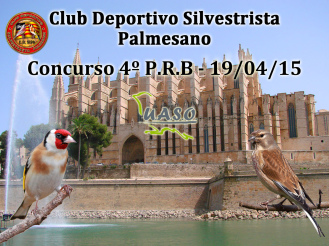 4º P.R.B. - Palmesano
