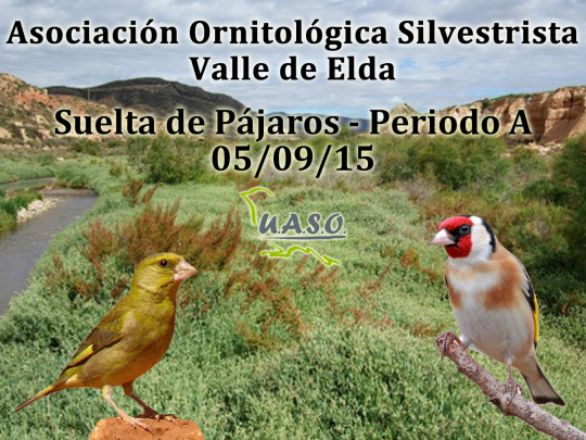 Suelta de Pájaros Periodo A Valle de Elda