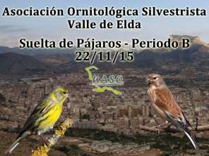 Suelta de Pájaros Periodo B Valle de Elda