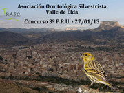 Concurso 3º P.R.U. Valle de Elda 27-01-13 - UASO.es