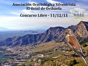 Concurso Libre Orihuela 11-12-11 - UASO.es