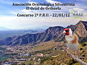 Concurso 2º P.R.U. Orihuela 22-01-12 - UASO.es