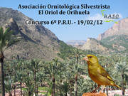 Concurso 6º P.R.U. Orihuela 19-02-12 - UASO.es