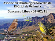 04-02-18 Libre Orihuela - UASO.es
