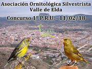 11-02-18 1PRU Valle de Elda - UASO.es