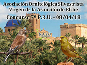 08-04-18 7PRU Asunción Elche - UASO.es