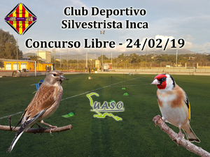 24-02-19 Libre Inca - UASO.es