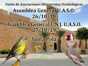 26-10-19 Asamblea General UASO - UASO.es