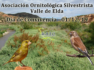 01-12-19 Día Convivencia Valle de Elda - UASO.es