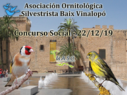 22-12-19 Social Baix Vinalopó - UASO.es