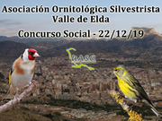 22-12-19 Social Valle de Elda - UASO.es