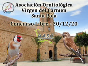 20-12-20 Libre Santa Pola - UASO.es