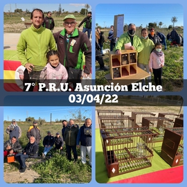 2022-04-03 7PRU Asunción Elche - UASO.es