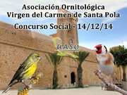 Concurso Social Santa Pola 14-12-14 - UASO.es