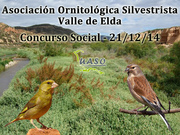 Concurso Social Valle de Elda 21-12-14 - UASO.es