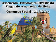 Concurso Social Asunción Elche 21-12-14 - UASO.es