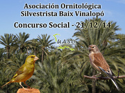 Concurso Social Baix Vinalopó 21-12-14 - UASO.es