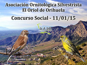 Concurso Social Orihuela 11/01/15 - UASO.es