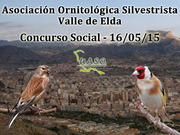 Concurso Social Valle de Elda 16-05-15 - UASO.es