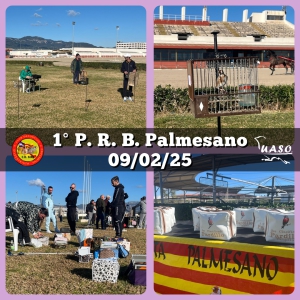 09-02-25 1PRB Palmesano - UASO.es