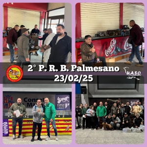 23-02-25 2PRB Palmesano - UASO.es