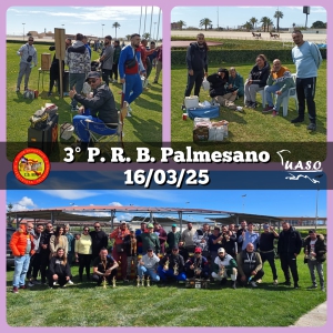 16-03-25 3PRB Palmesano - UASO.es
