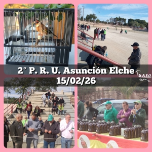 15-02-26 2PRU Asunción Elche - UASO.es