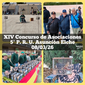 08-03-26 Asoc.+ 5PRU Asunción Elche - UASO.es