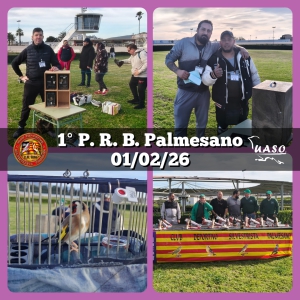 01-02-26 1PRB Palmesano - UASO.es
